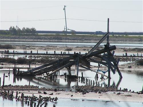 Hayward Shoreline Interpretive Center 2