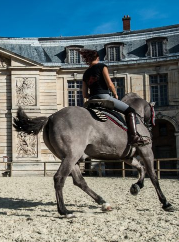 Académie équestre de Versailles : chevaux en famille 1