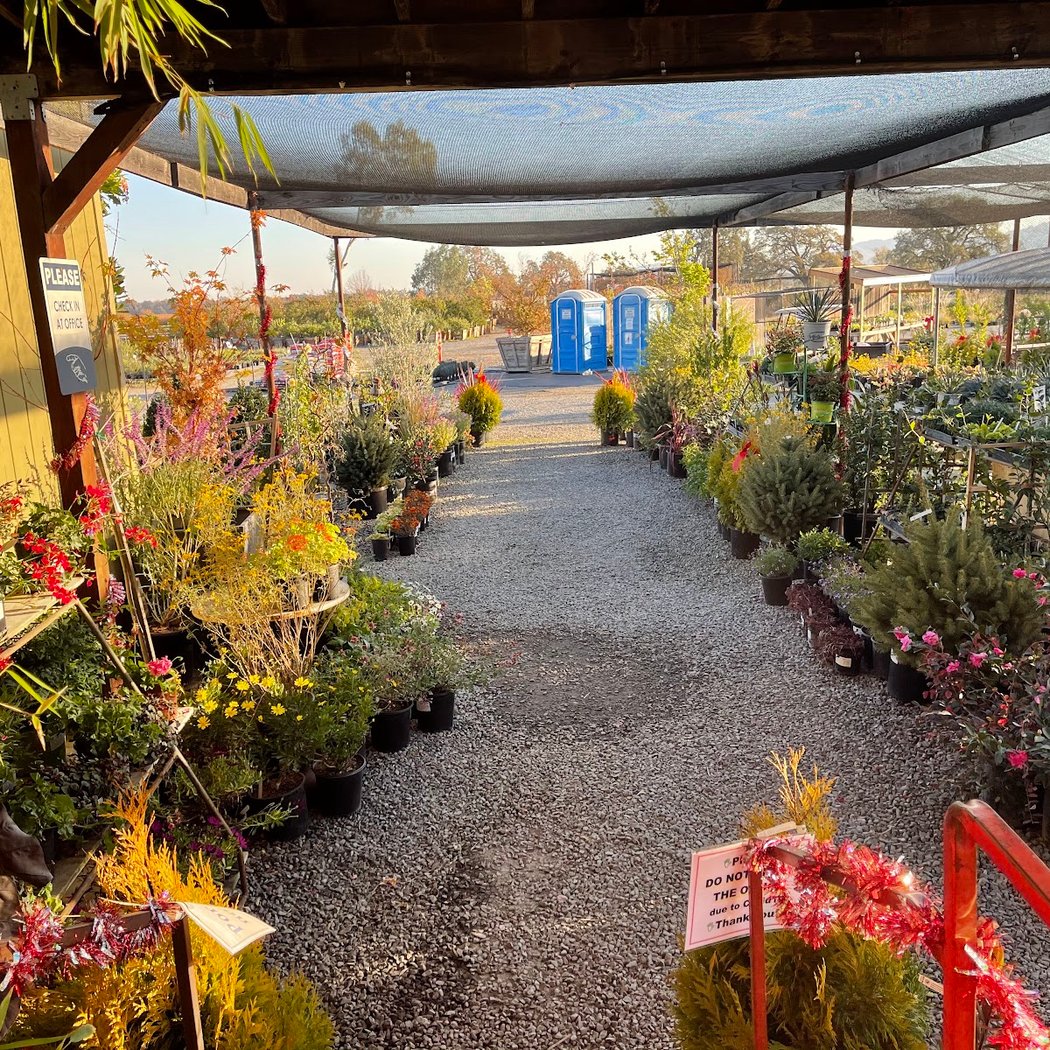 Sonoma Valley Wholesale Nursery 3