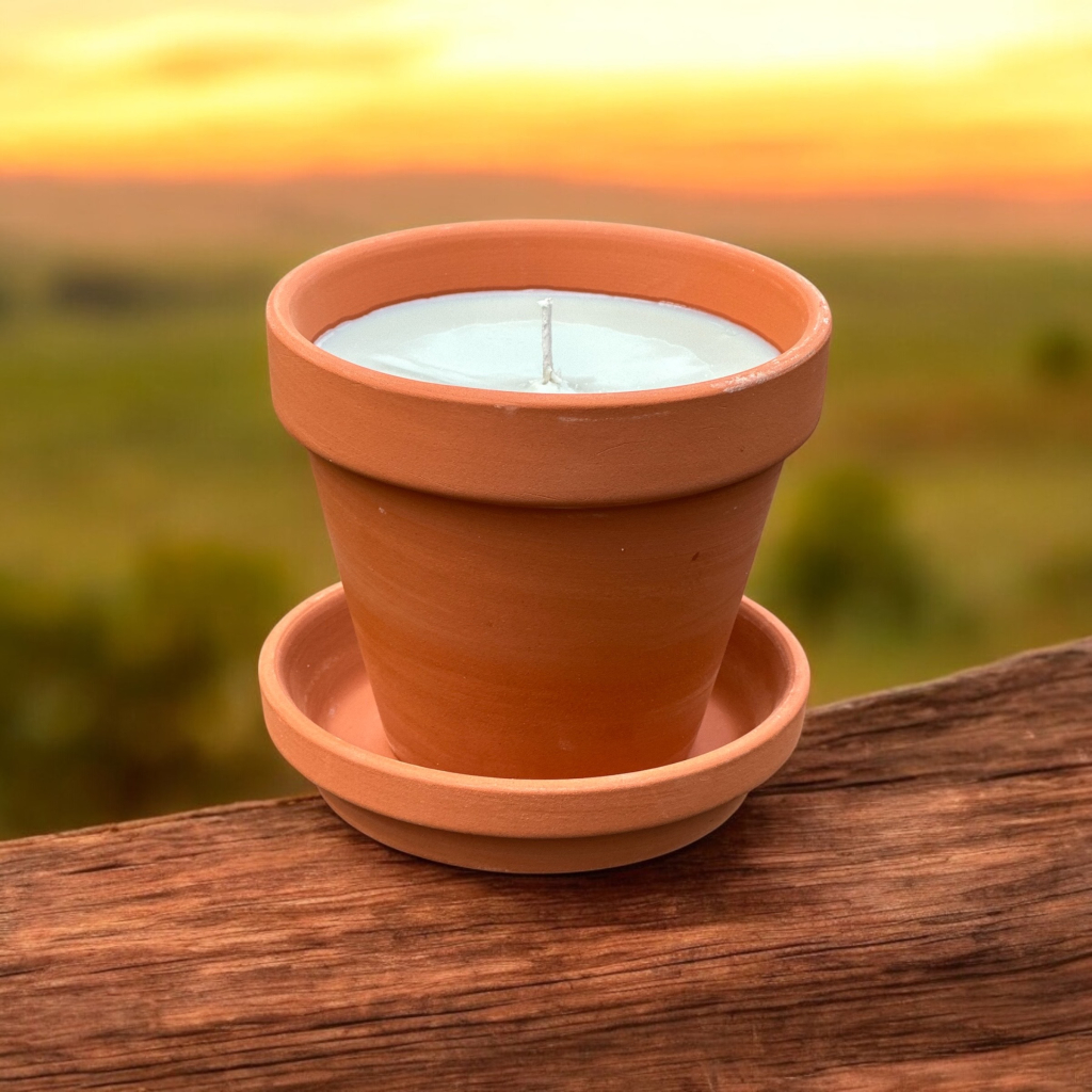 Soylicious Candle Making Workshop 1