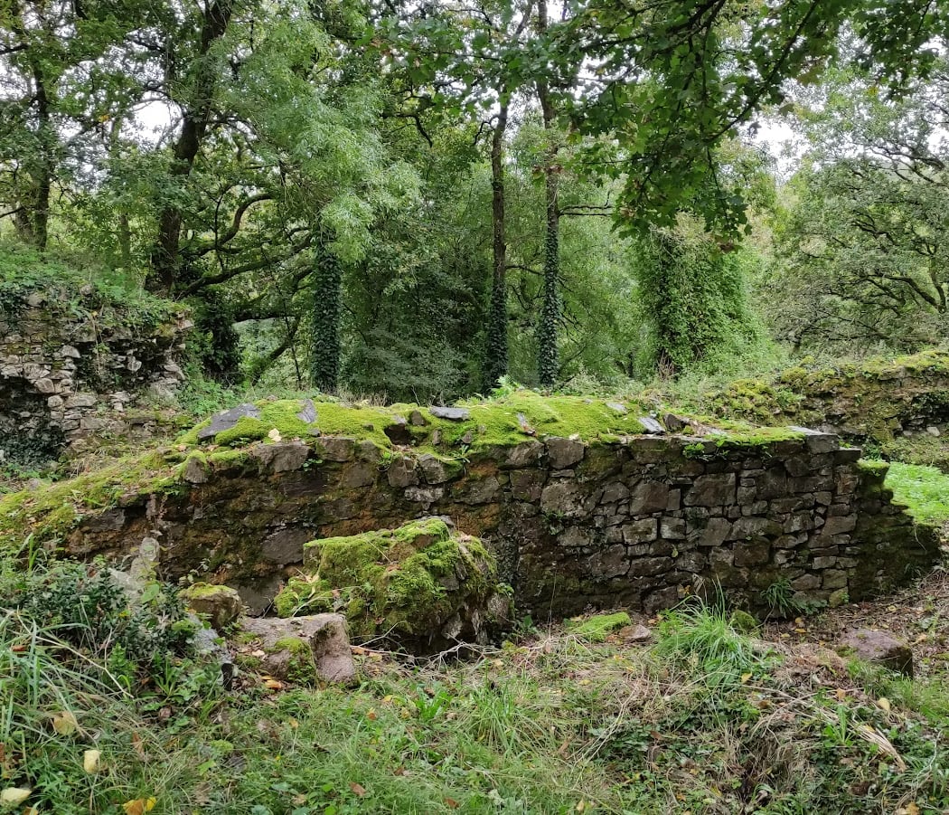 Tour d'entrée de la citadelle médiévale de Champtoceaux 3