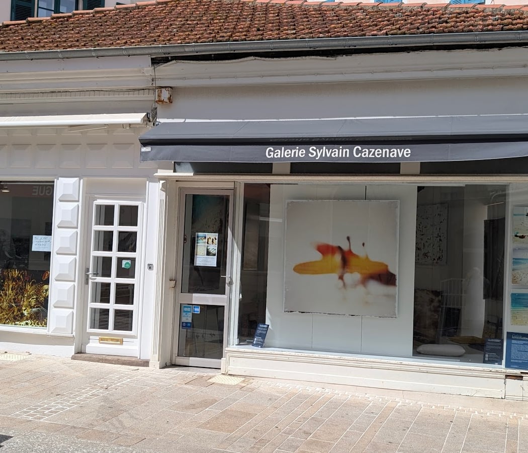 Galerie Sylvain Cazenave 2
