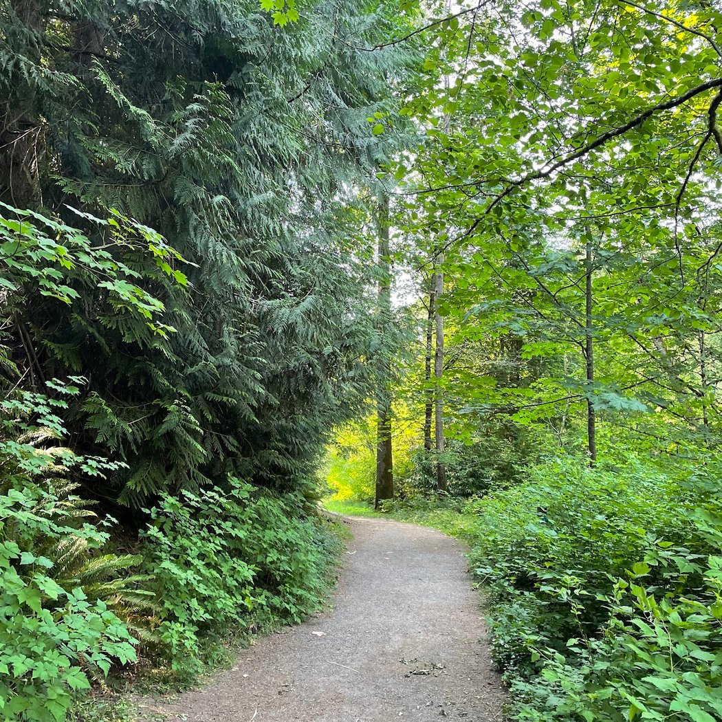Terrace Creek Park "Candy Cane Park" 2