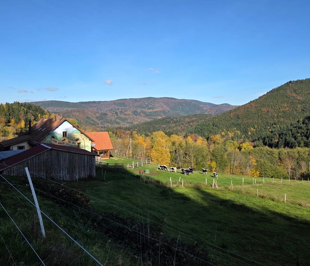Ferme Auberge des cimes 2