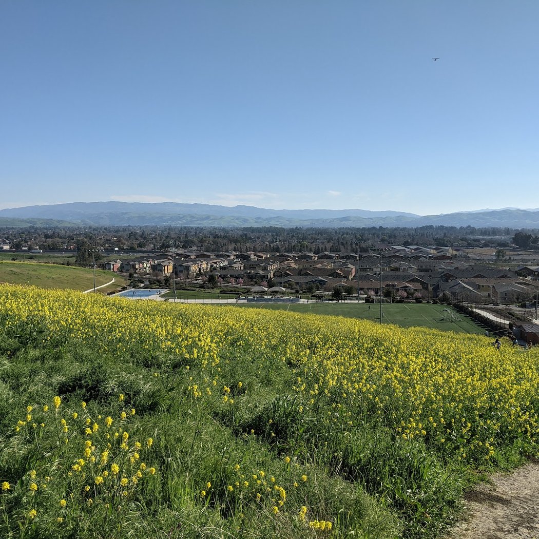 Cayetano Park 1