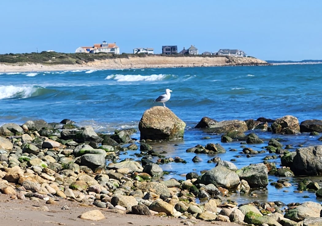 Goosewing Beach Preserve 1