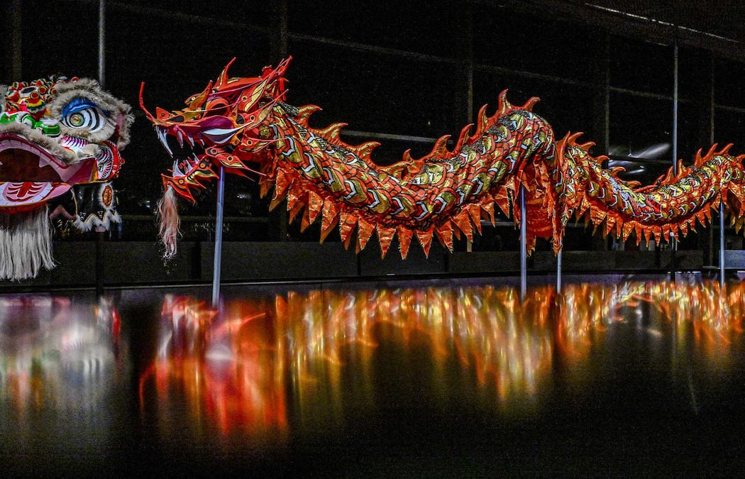 Dragons, une exposition à découvrir 1