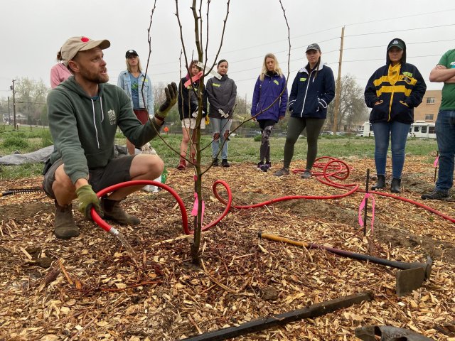 2nd Saturday at Nome Park Community Garden 1