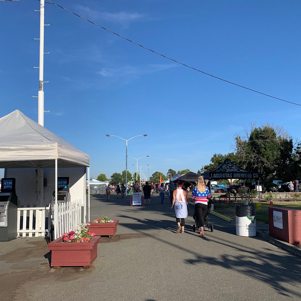 Petaluma Music Festival 2