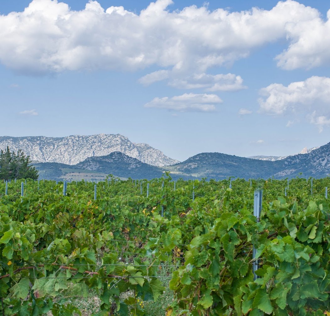 Domaine Les Terres De Mallyce 1