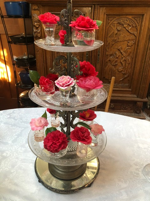 Talk on History, Culture, and Care of Camellias 1