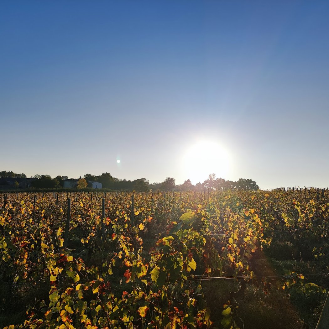 DOMAINE LA GUILLAUMERIE 3