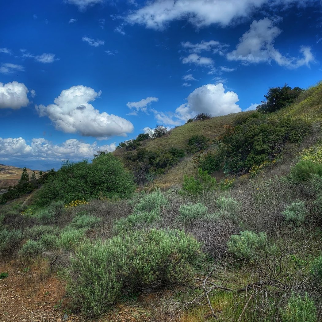 Fresno Canyon Trail 3