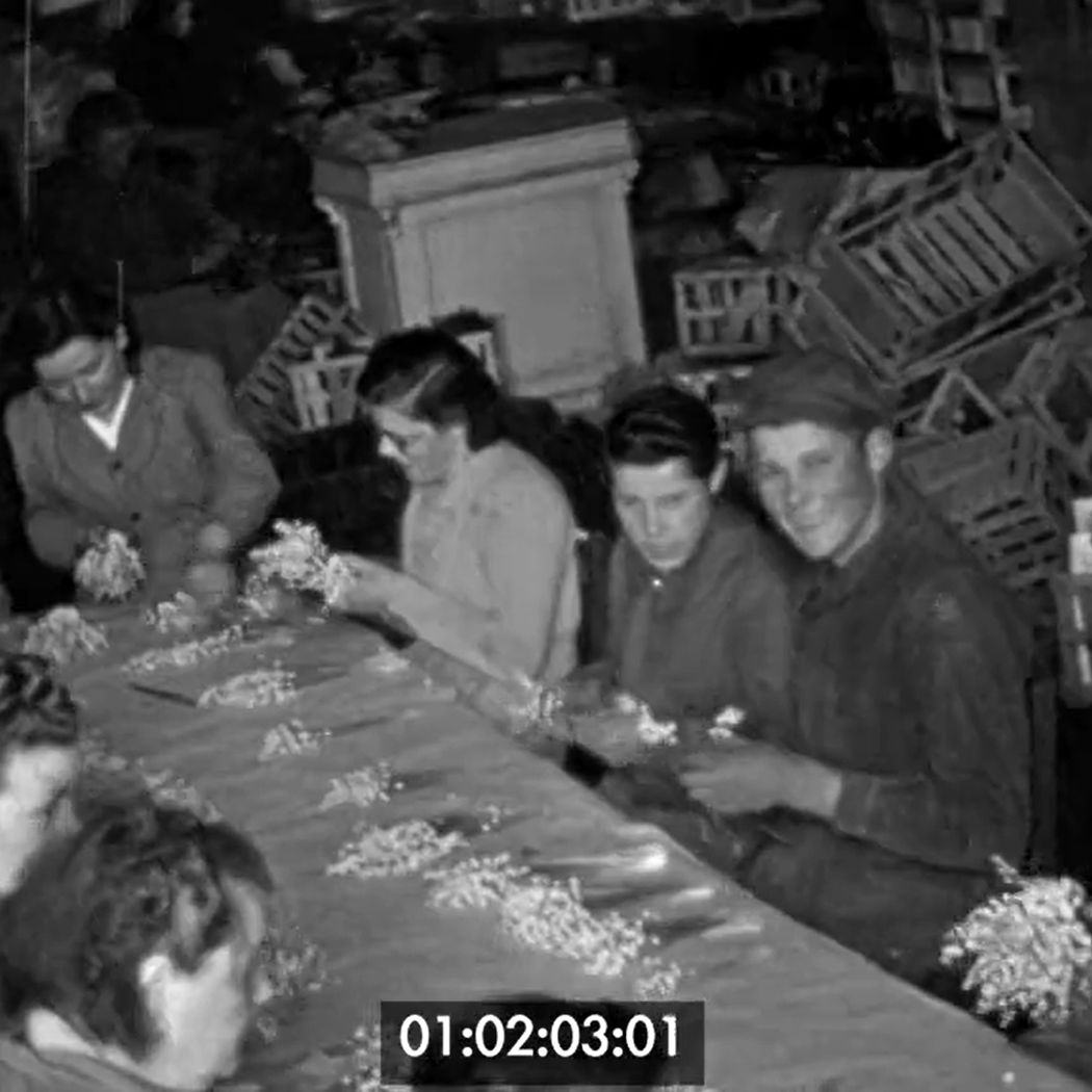 Projection d'images d'archives : cultiver la terre en pays nantais 1