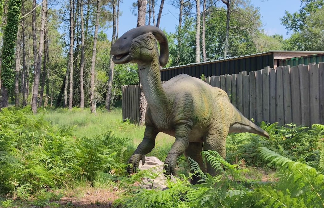 Dinosaures Parc 3