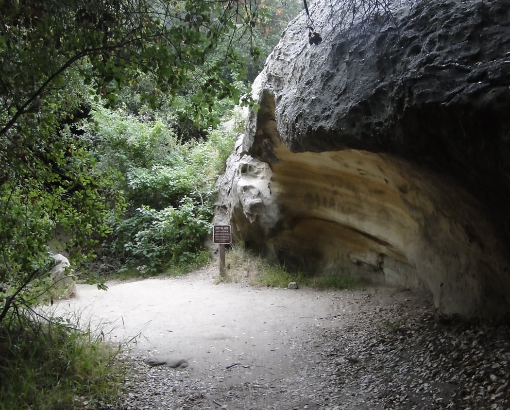 Guided Wellness Hike 2