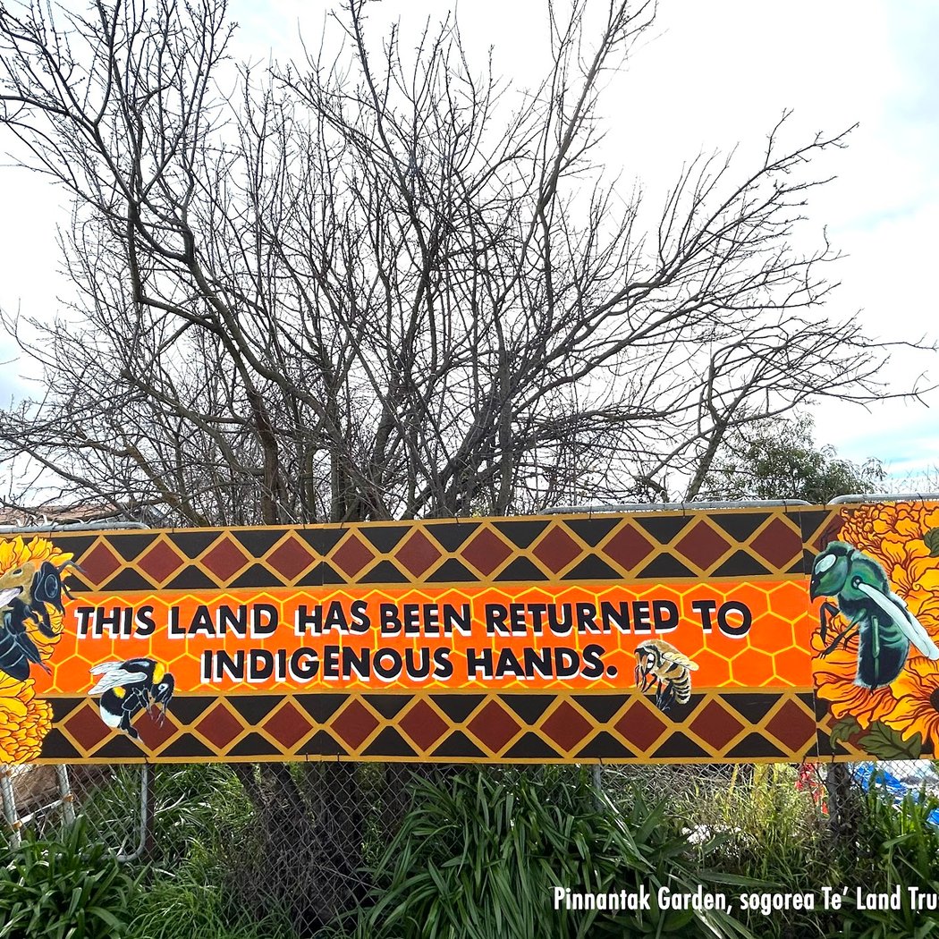 Sogorea Te' Land Trust 2