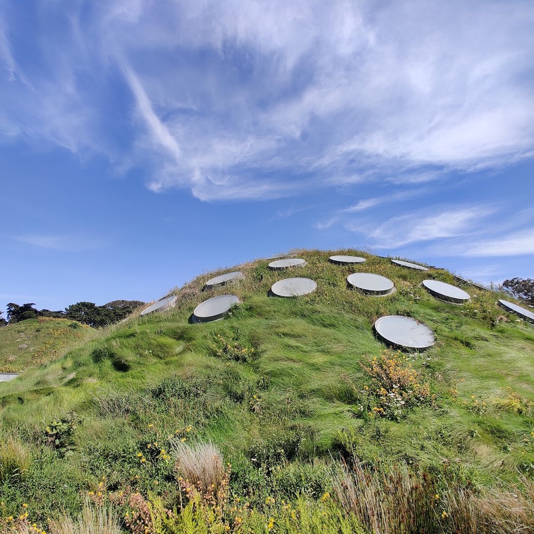 Living Roof Observation Deck 1