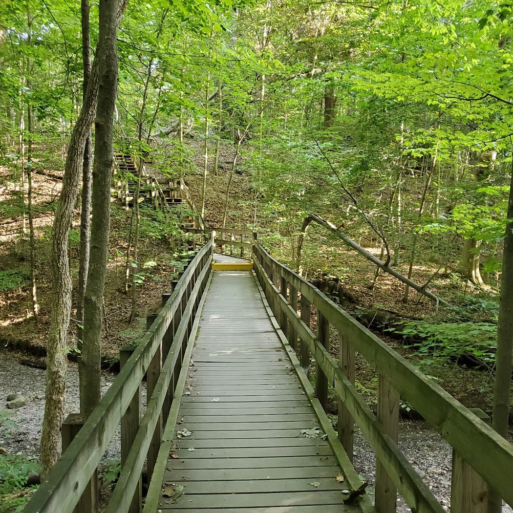 Hogback Ridge Park 2