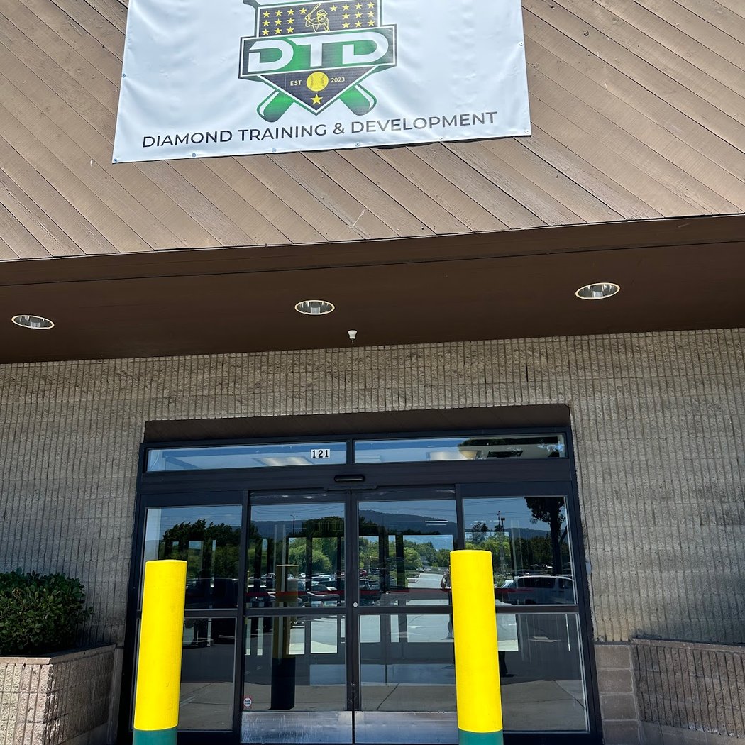 Diamond training & development 2