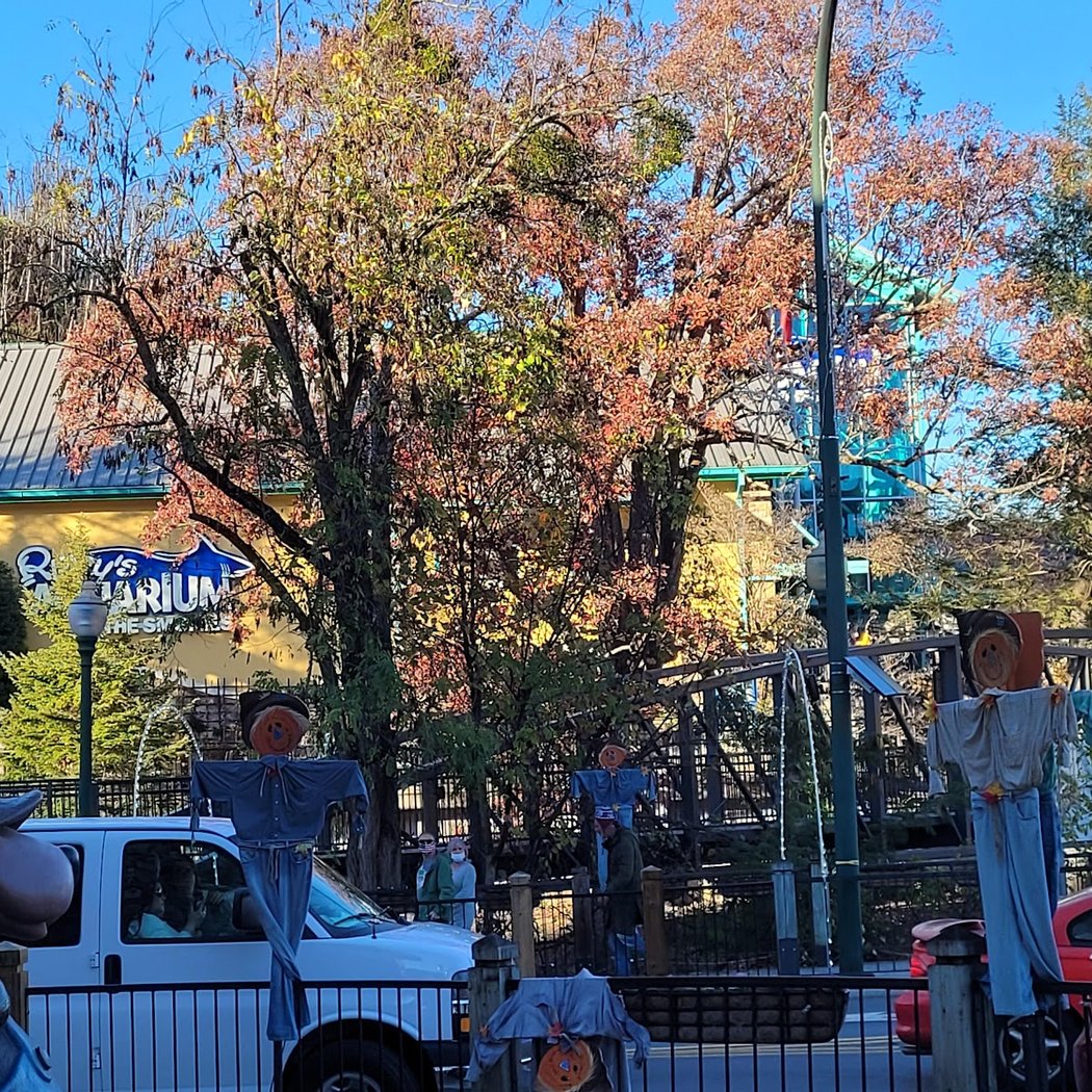Gatlinburg 2