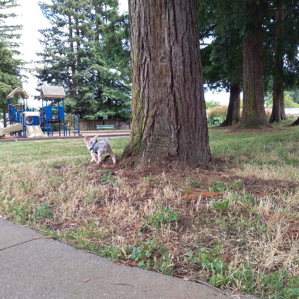 Solomon Park 2