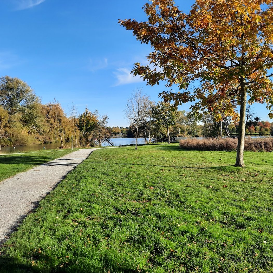 Plan d'eau du chêne 3