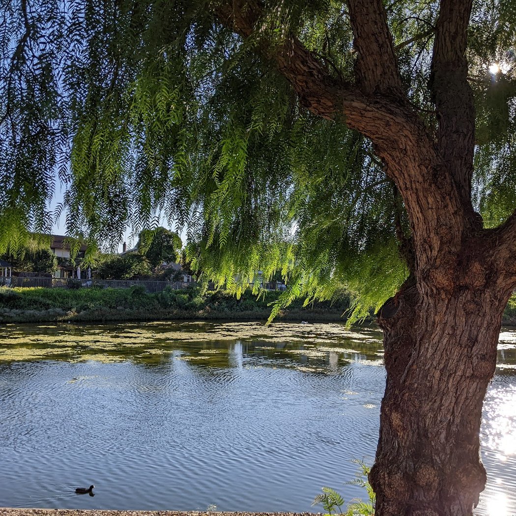 Lakeshore Park 1