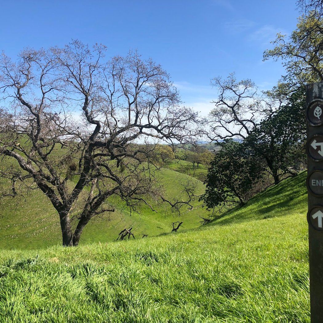 Sycamore Valley Open Space Preserve 1