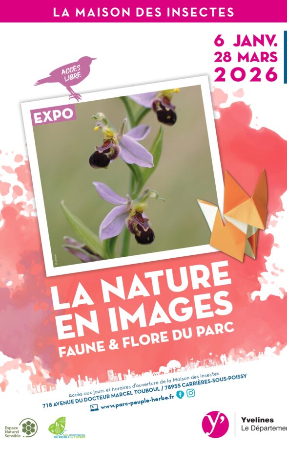 La Nature en images: faune & flore du Parc 1