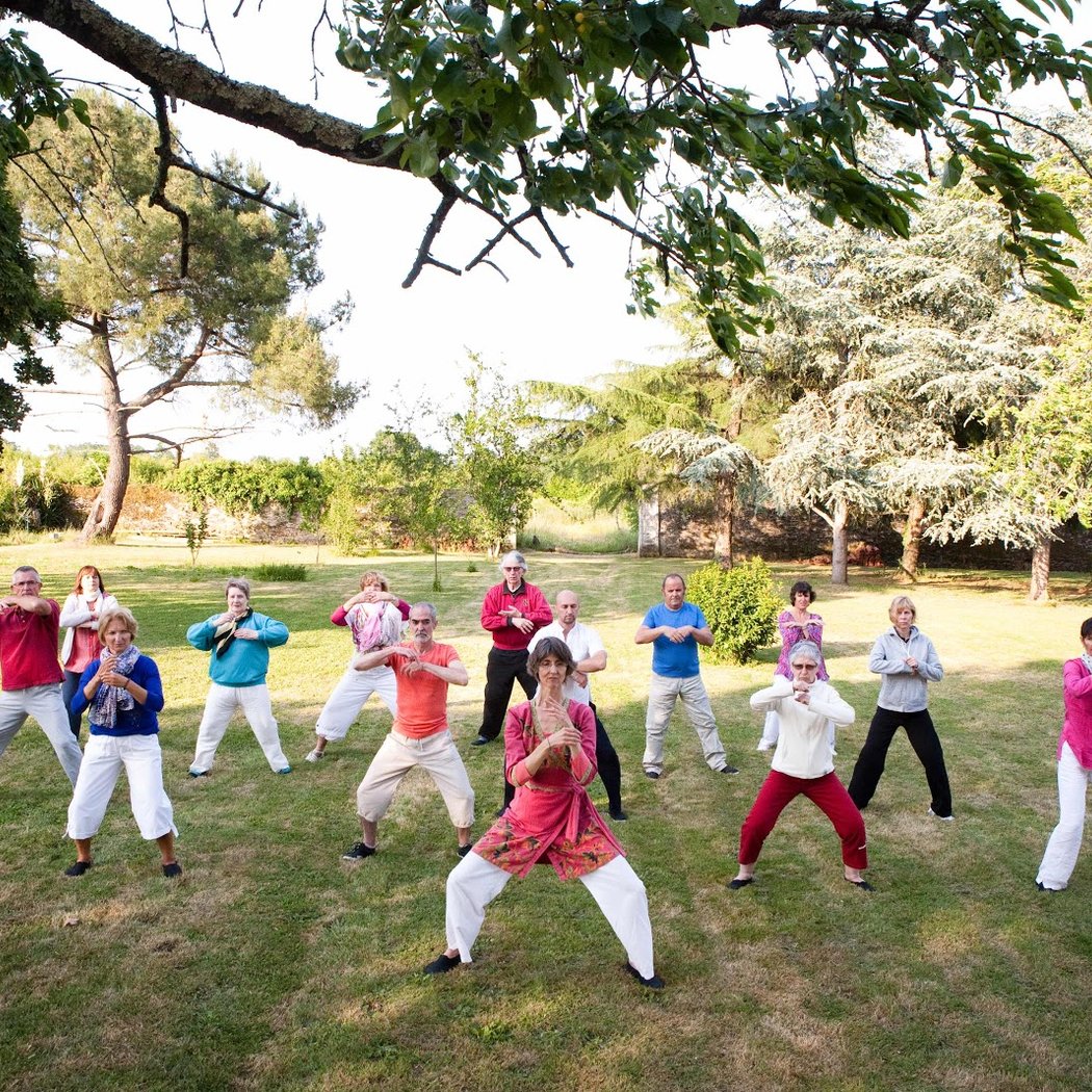 Qi Gong And Tai Chi Chuan, Association Resonance - Marie-Madeleine Durand 3
