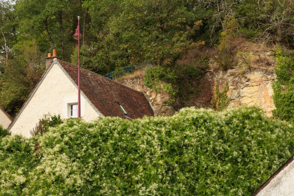 Lussault-sur-Loire 2