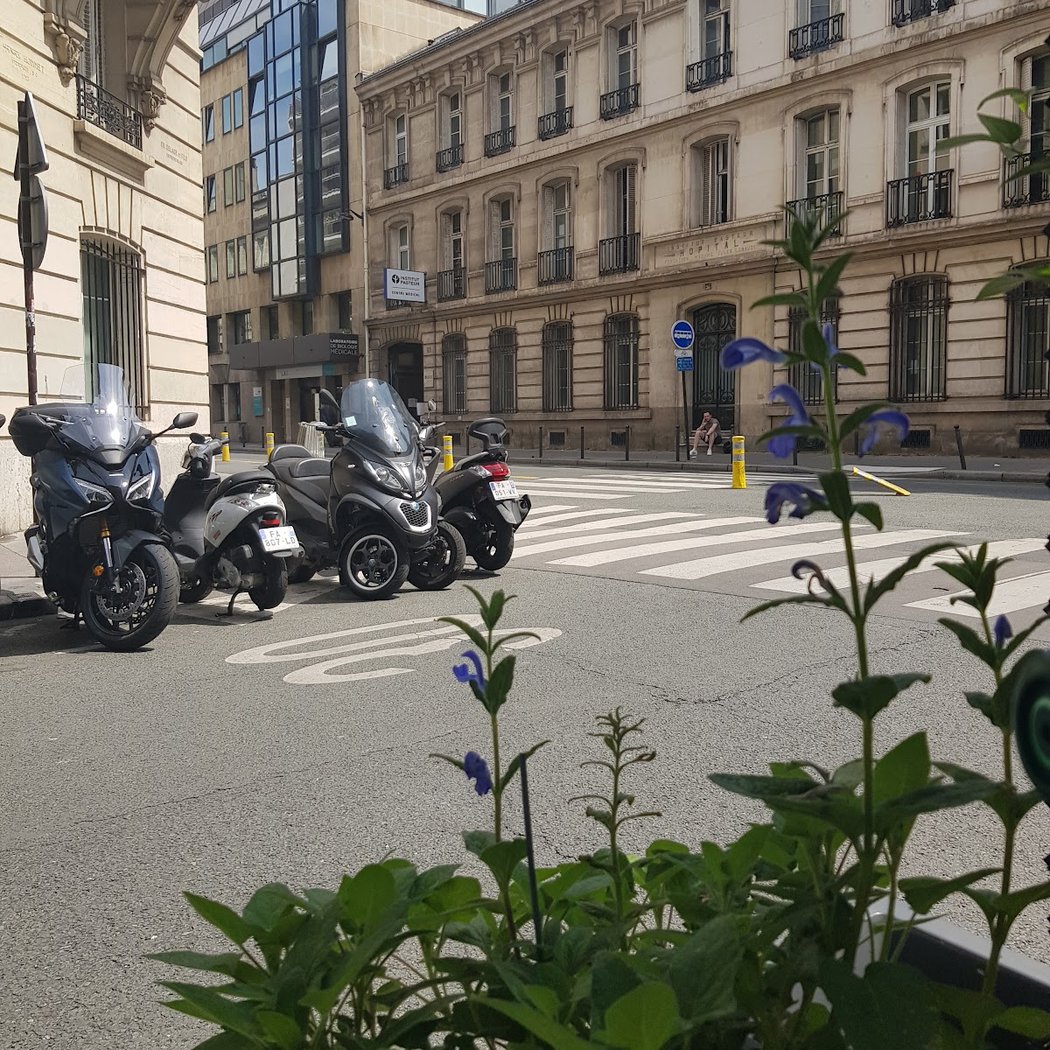 15th arrondissement 3