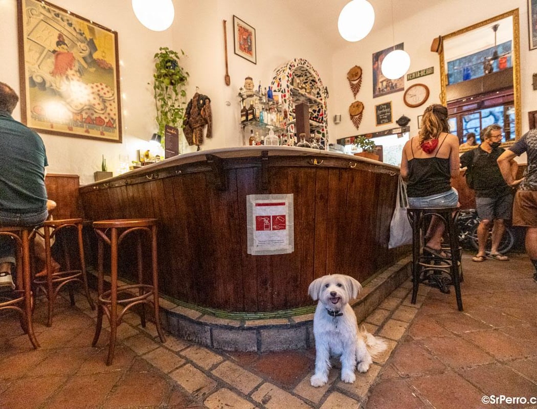Bar Candela 1