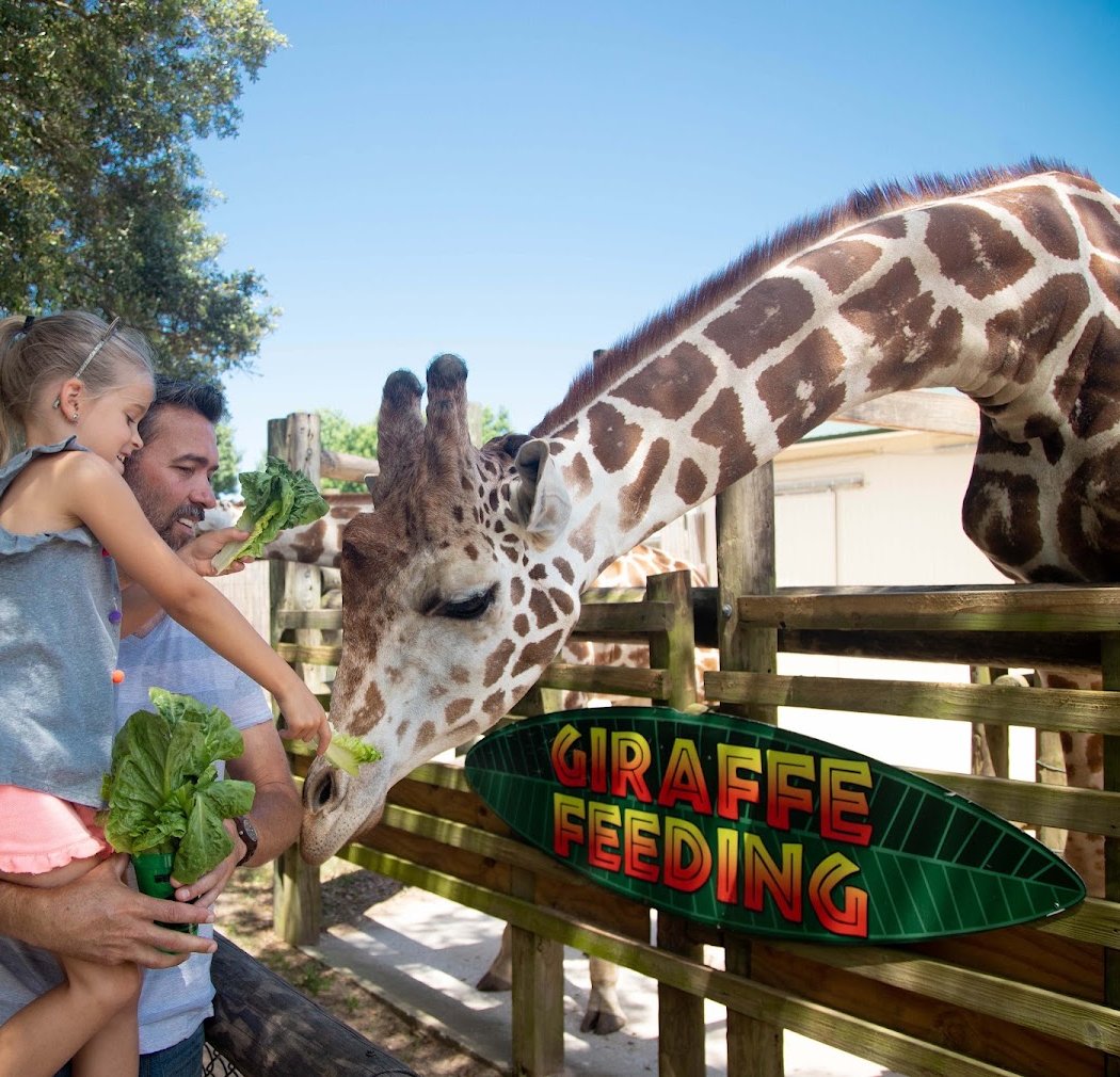 Gulf Breeze Zoo 1
