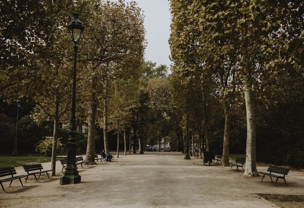 Parc de la Pépinière 3