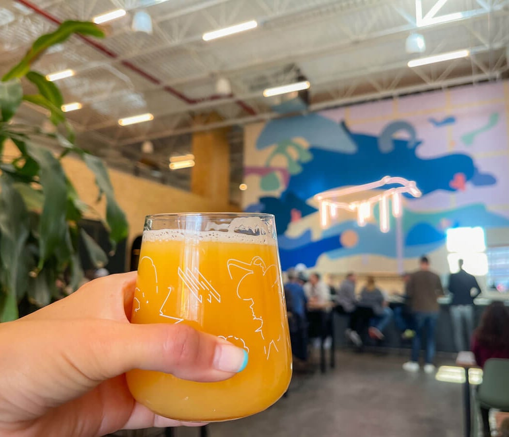 Finback Brooklyn 2