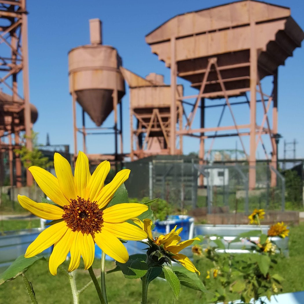Bronx River Foodway 1