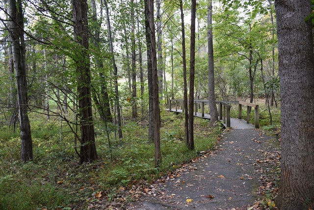 Lake Anna State Park 4