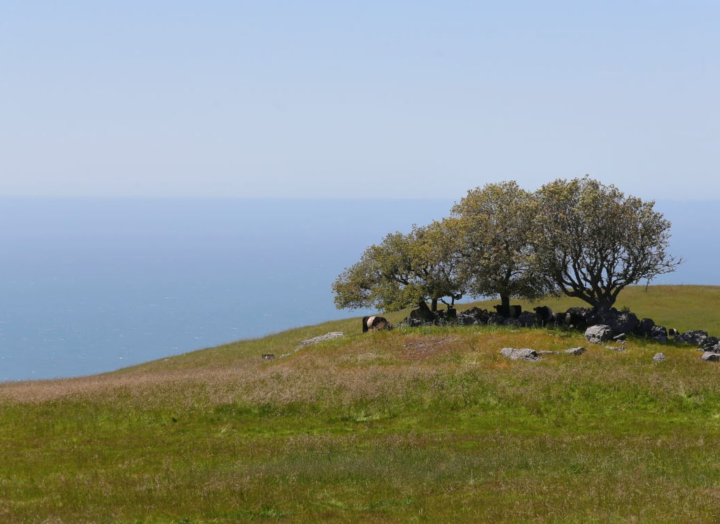Islands in the Sky Trailhead 1