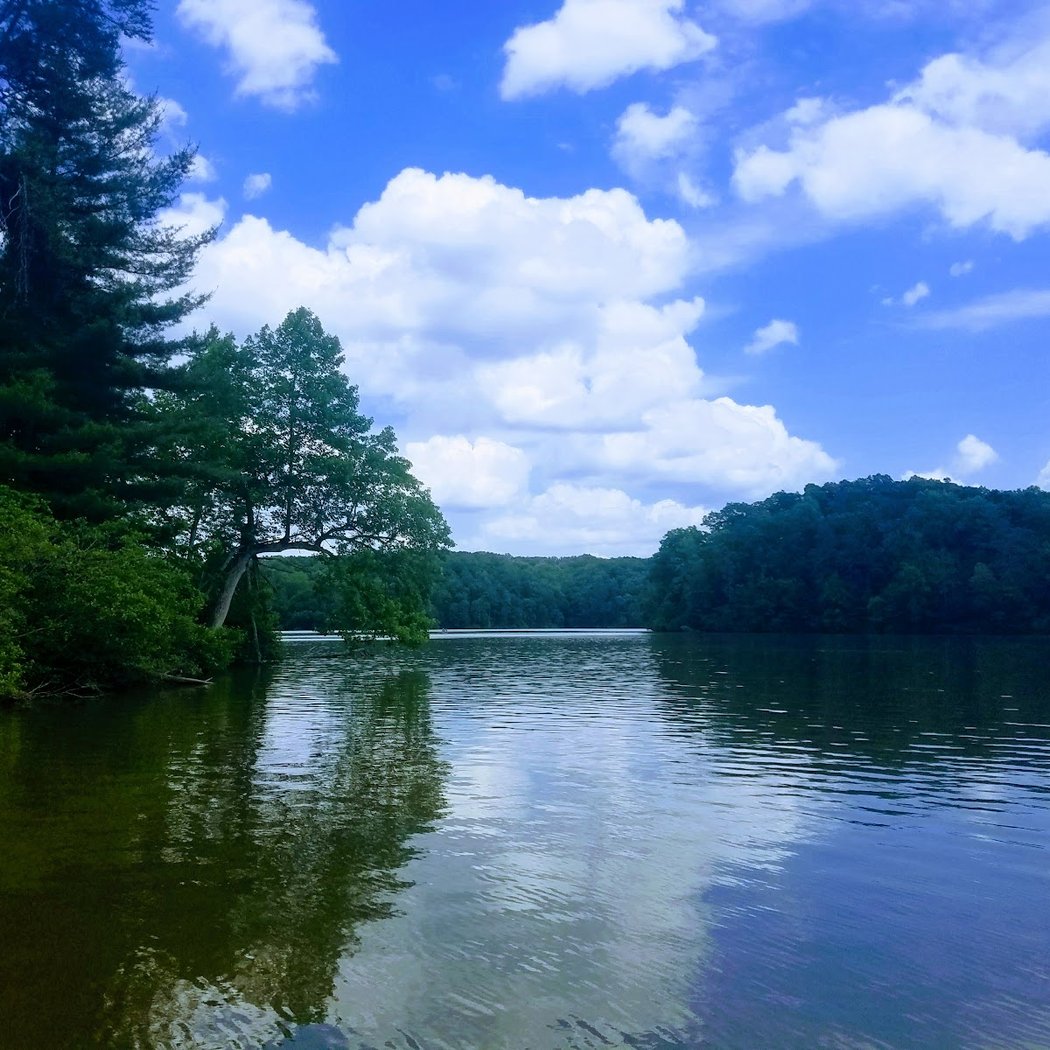 Fairy Stone State Park 3