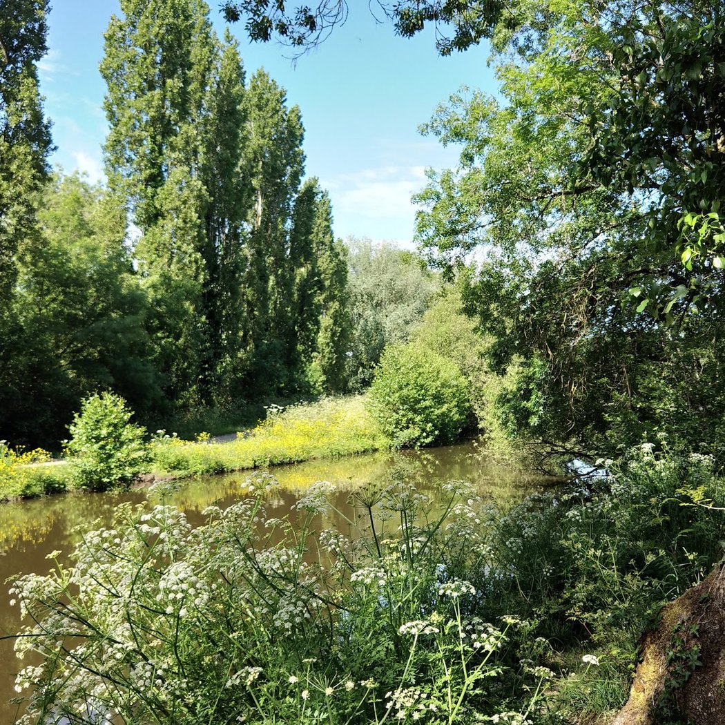 Parc de la Filée 2