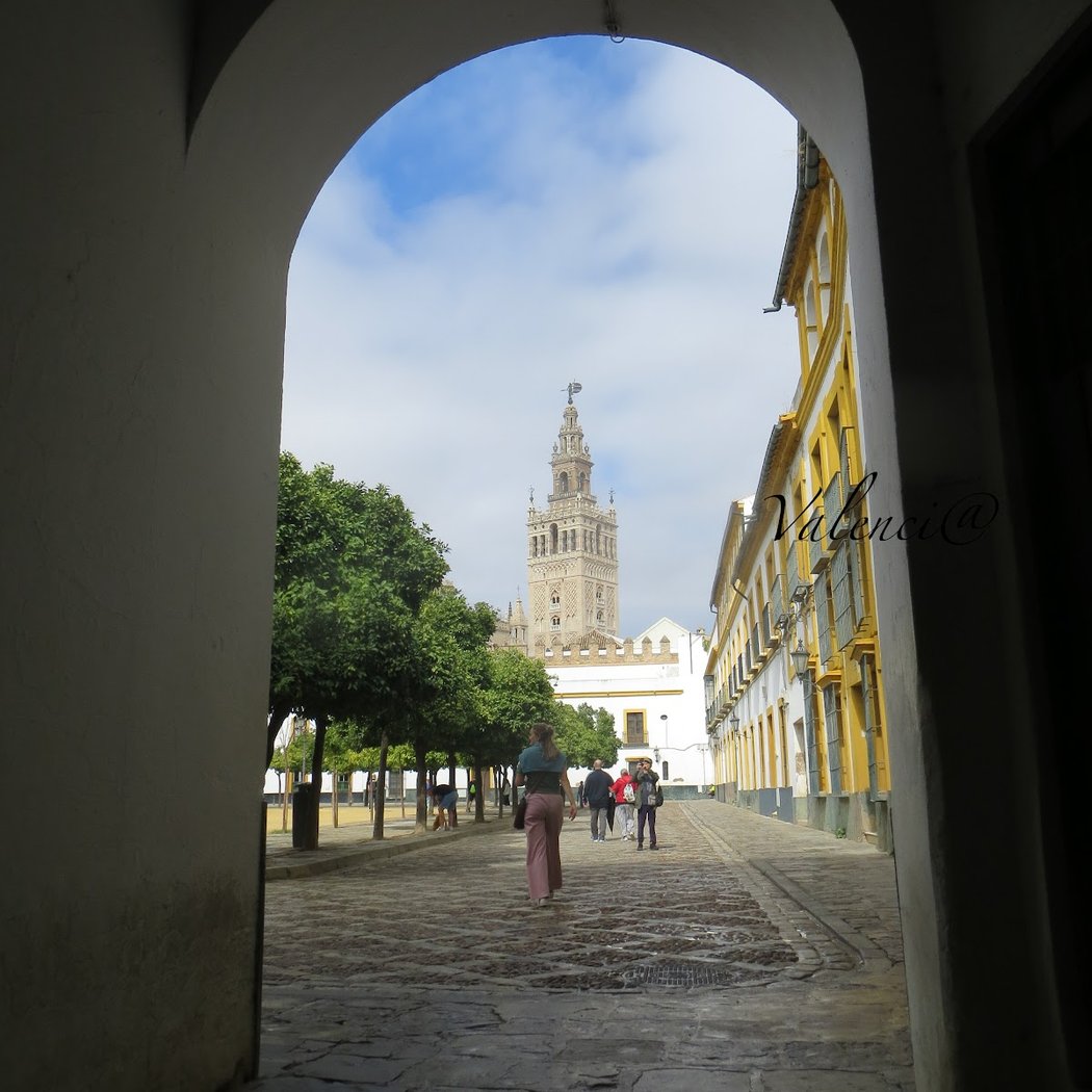 Mirador de la Giralda 1