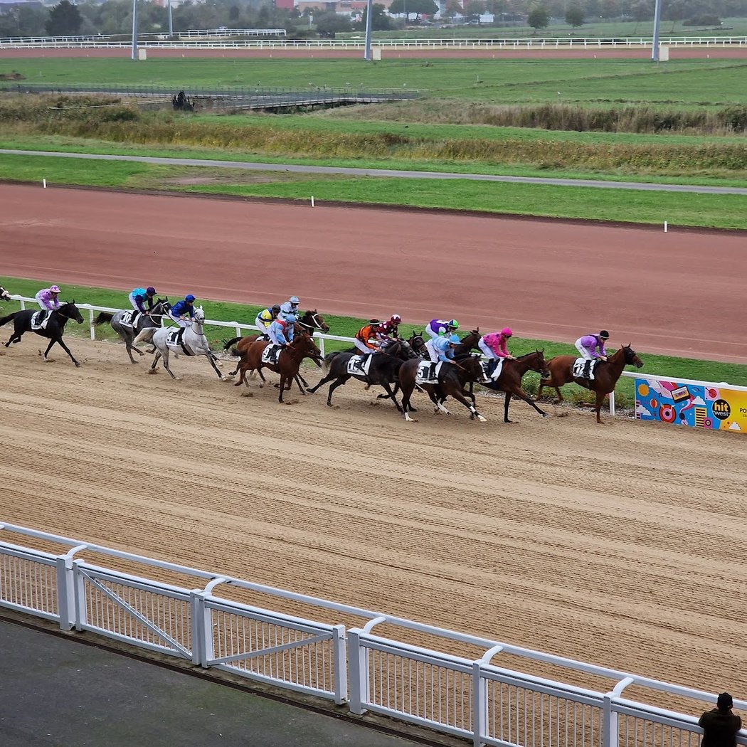 Courses de Galop 1