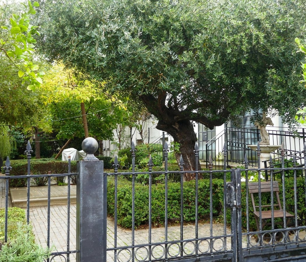 Neve Tzedek 2
