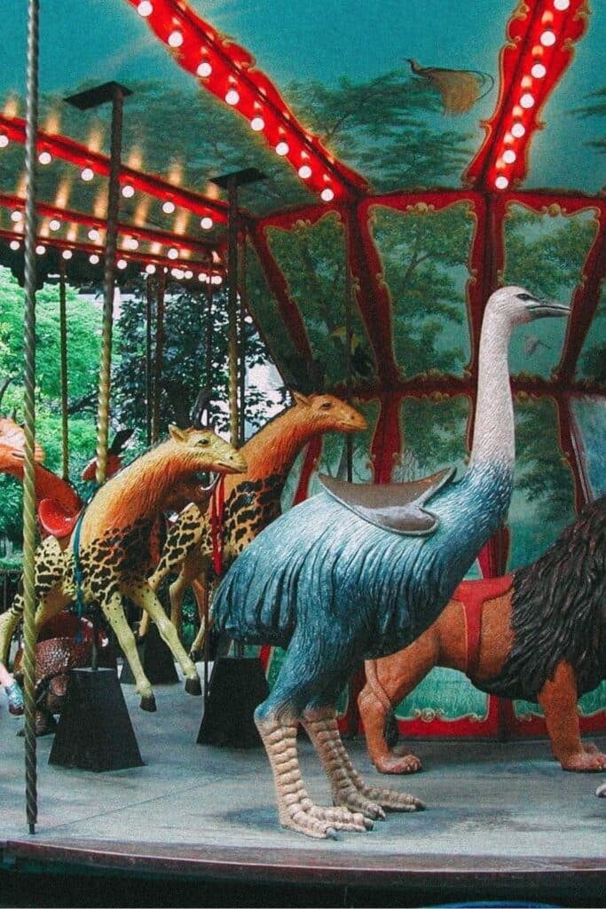 Dodo Manège 2