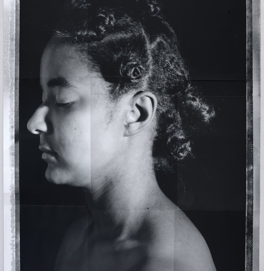 Artist Talk: Carla Williams 1