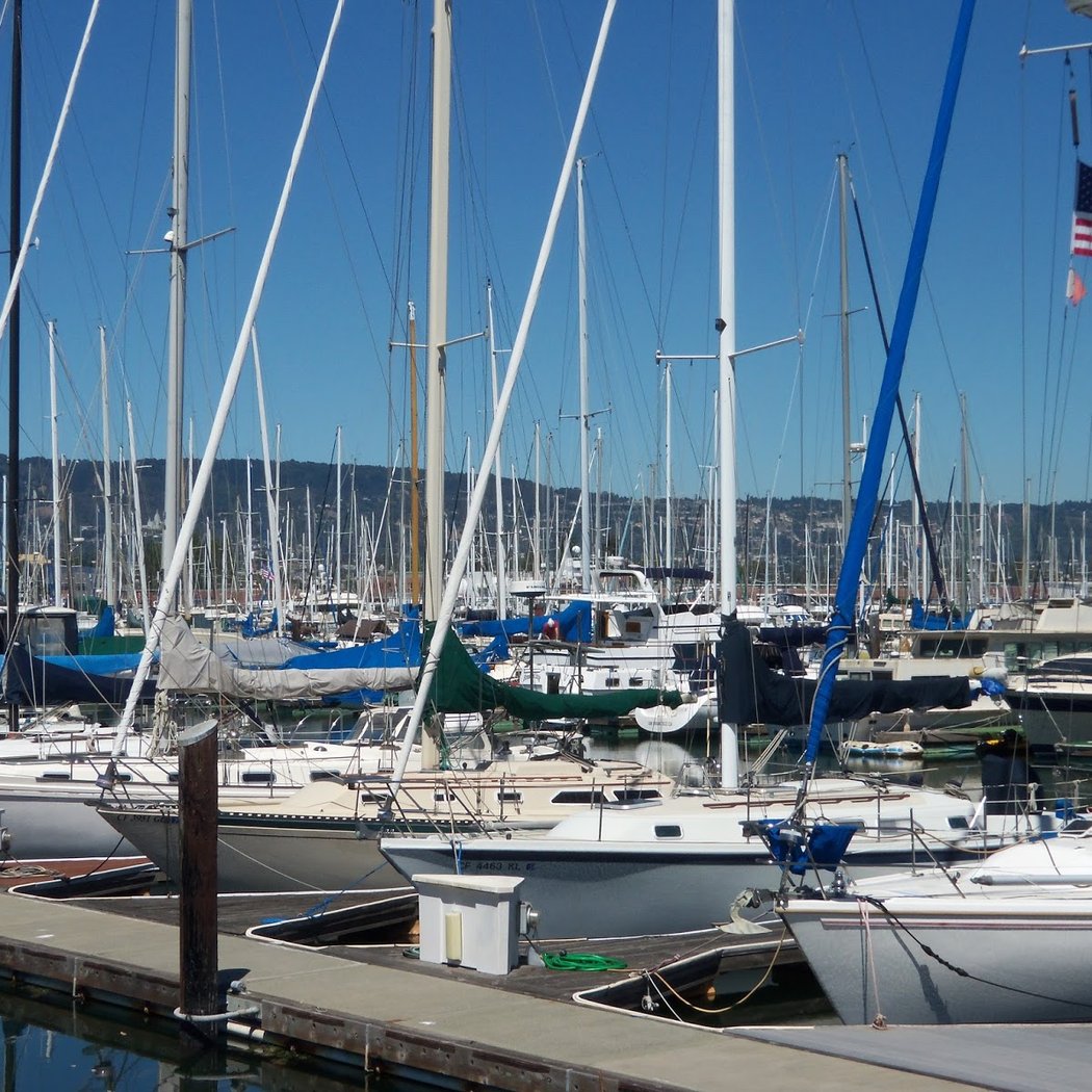 Fortman Marina 2