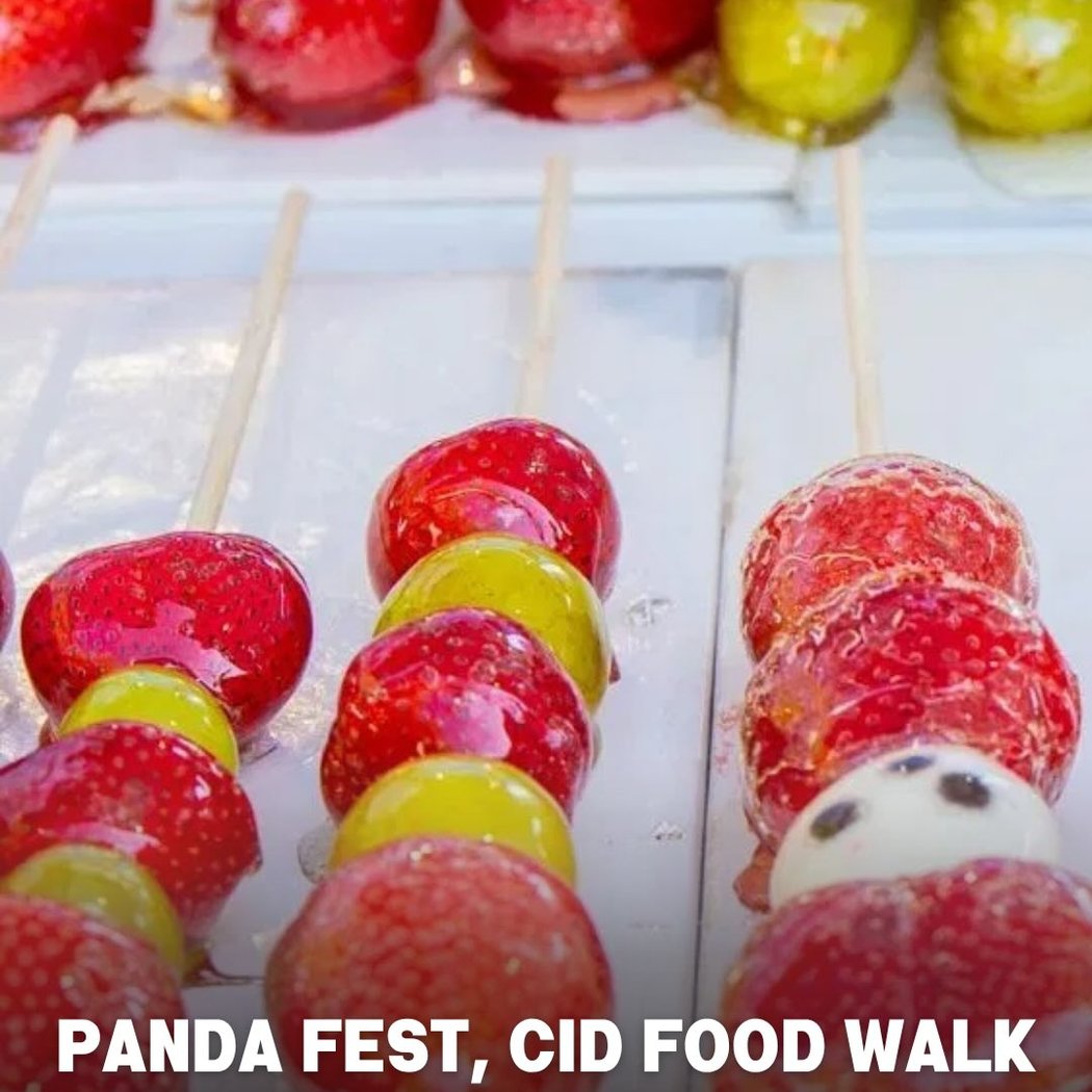 Panda Fest 1