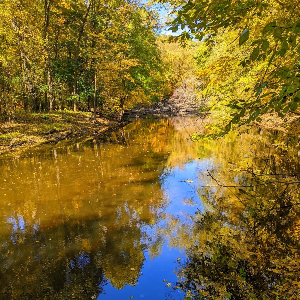 Harris Nature Center 1